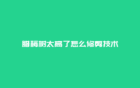 腊梅树太高了怎么修剪技术