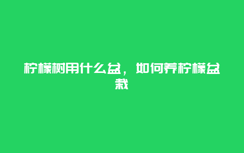 柠檬树用什么盆，如何养柠檬盆栽