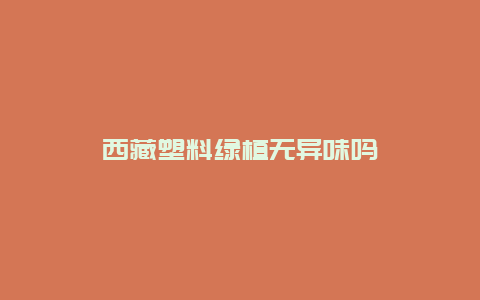 西藏塑料绿植无异味吗