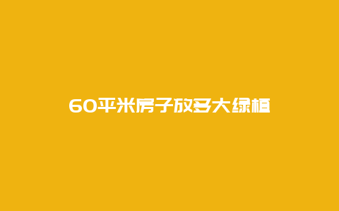 60平米房子放多大绿植