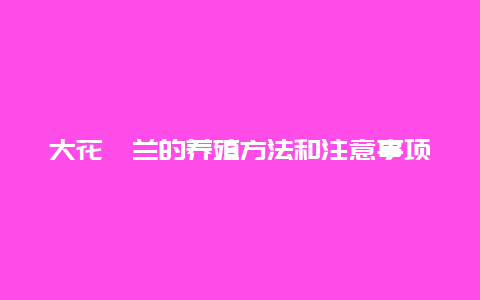 大花蕙兰的养殖方法和注意事项