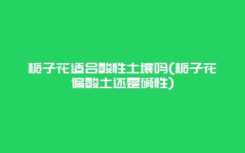 栀子花适合酸性土壤吗(栀子花偏酸土还是碱性)