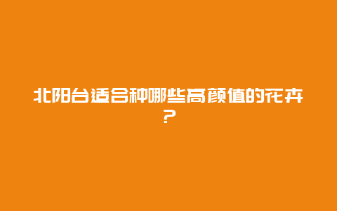 北阳台适合种哪些高颜值的花卉？