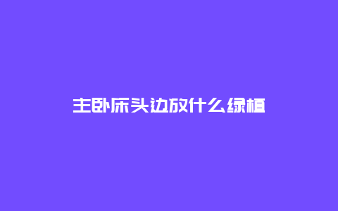 主卧床头边放什么绿植