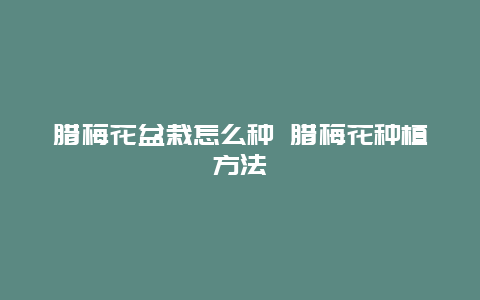 腊梅花盆栽怎么种 腊梅花种植方法