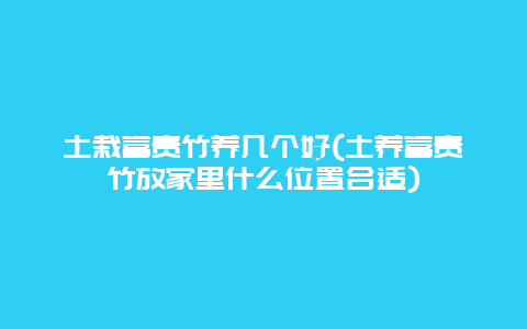 土栽富贵竹养几个好(土养富贵竹放家里什么位置合适)