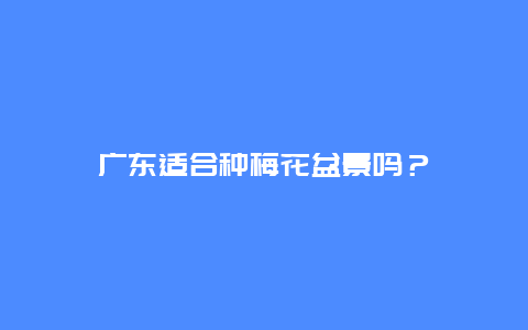 广东适合种梅花盆景吗？