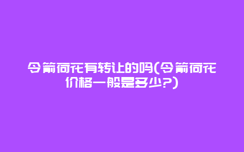 令箭荷花有转让的吗(令箭荷花价格一般是多少?)