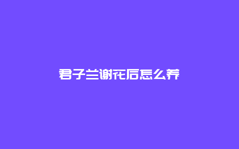 君子兰谢花后怎么养