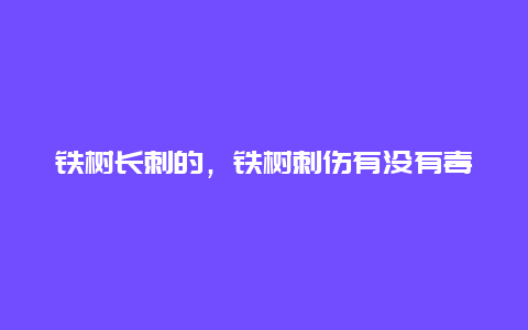 铁树长刺的，铁树刺伤有没有毒