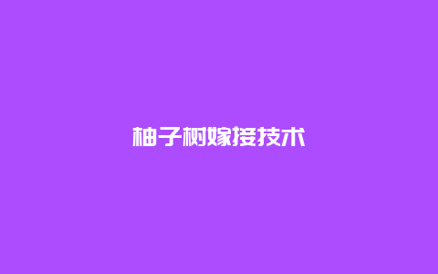 柚子树嫁接技术