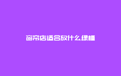 窗帘店适合放什么绿植