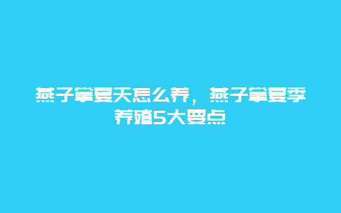 燕子掌夏天怎么养，燕子掌夏季养殖5大要点