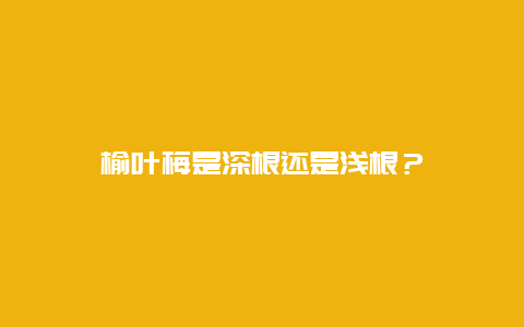 榆叶梅是深根还是浅根？