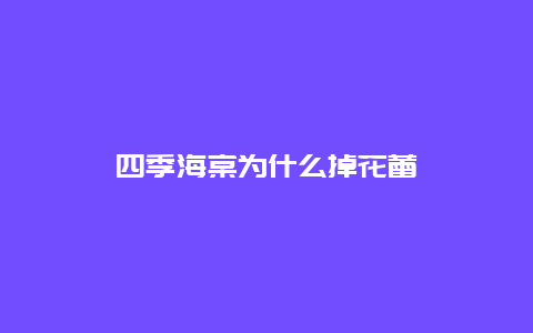 四季海棠为什么掉花蕾