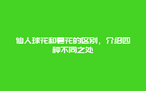 仙人球花和昙花的区别，介绍四种不同之处