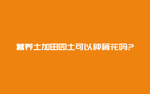 营养土加田园土可以种梅花吗?