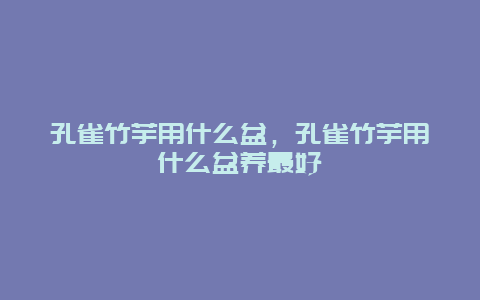 孔雀竹芋用什么盆，孔雀竹芋用什么盆养最好