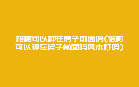 榕树可以种在房子前面吗(榕树可以种在房子前面吗风水好吗)