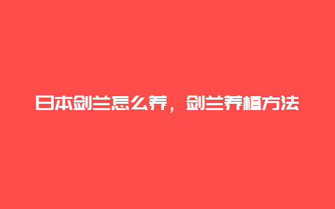 日本剑兰怎么养，剑兰养植方法