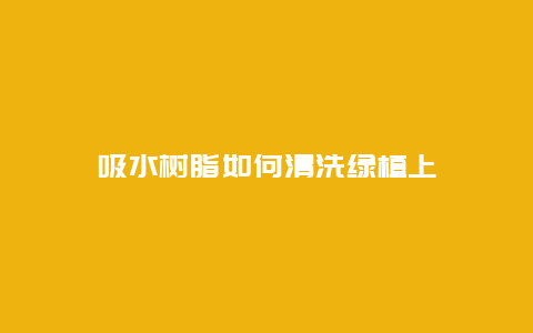 吸水树脂如何清洗绿植上