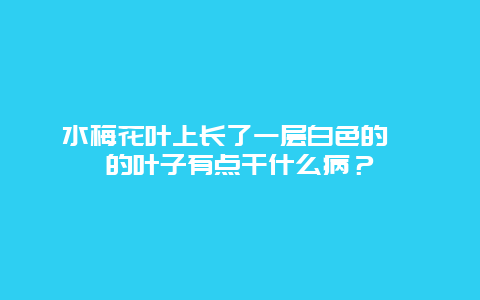 水梅花叶上长了一层白色的黏黏的叶子有点干什么病？