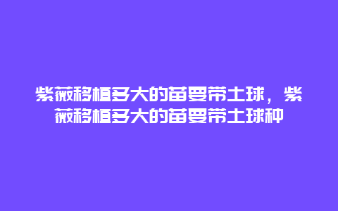 紫薇移植多大的苗要带土球，紫薇移植多大的苗要带土球种