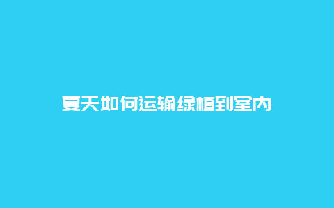 夏天如何运输绿植到室内