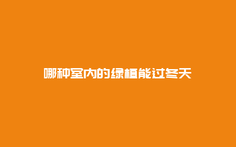 哪种室内的绿植能过冬天