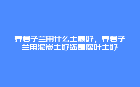 养君子兰用什么土最好，养君子兰用泥炭土好还是腐叶土好