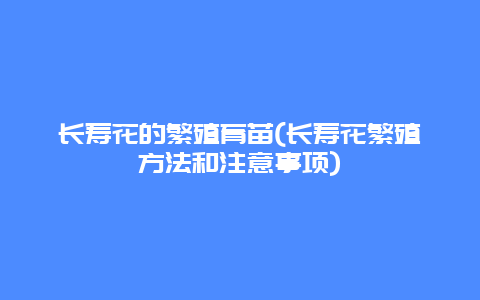 长寿花的繁殖育苗(长寿花繁殖方法和注意事项)