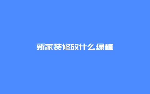 新家装修放什么绿植