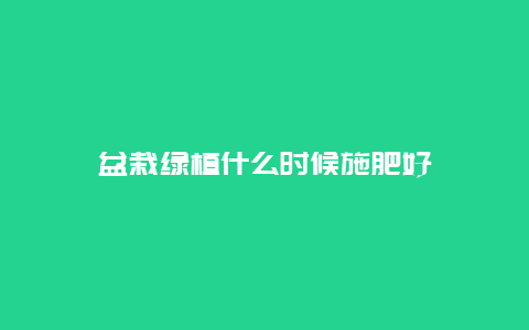 盆栽绿植什么时候施肥好