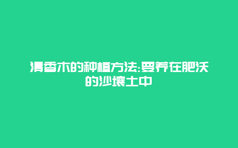 清香木的种植方法:要养在肥沃的沙壤土中