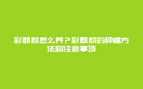 彩麒麟怎么养？彩麒麟的种植方法和注意事项