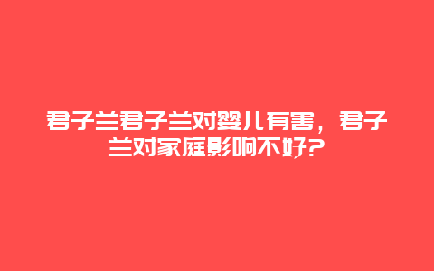 君子兰君子兰对婴儿有害，君子兰对家庭影响不好?