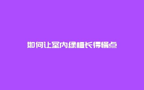 如何让室内绿植长得慢点