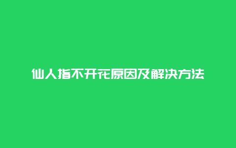 仙人指不开花原因及解决方法