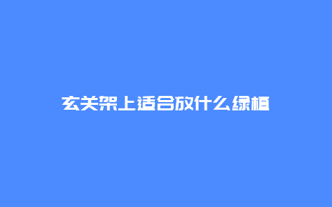 玄关架上适合放什么绿植