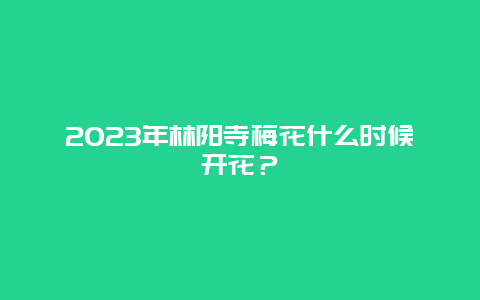 2023年林阳寺梅花什么时候开花？