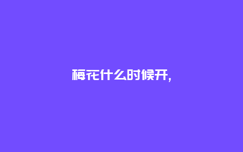 梅花什么时候开,