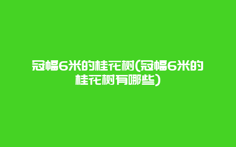 冠幅6米的桂花树(冠幅6米的桂花树有哪些)