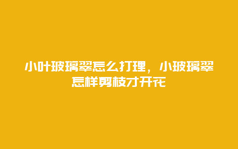 小叶玻璃翠怎么打理，小玻璃翠怎样剪枝才开花