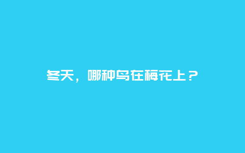 冬天，哪种鸟在梅花上？