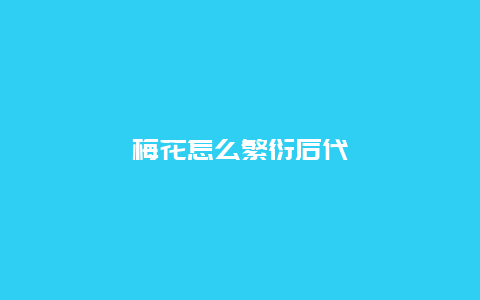 梅花怎么繁衍后代