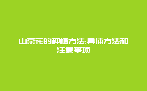 山茶花的种植方法:具体方法和注意事项