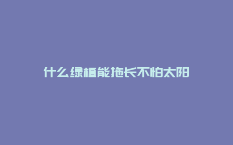 什么绿植能拖长不怕太阳