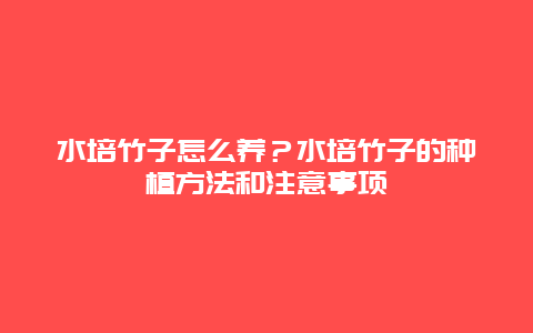 水培竹子怎么养？水培竹子的种植方法和注意事项