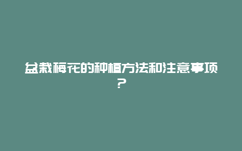 盆栽梅花的种植方法和注意事项？