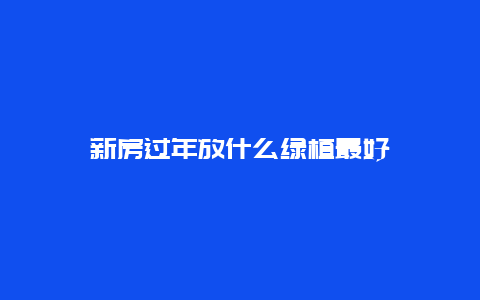 新房过年放什么绿植最好